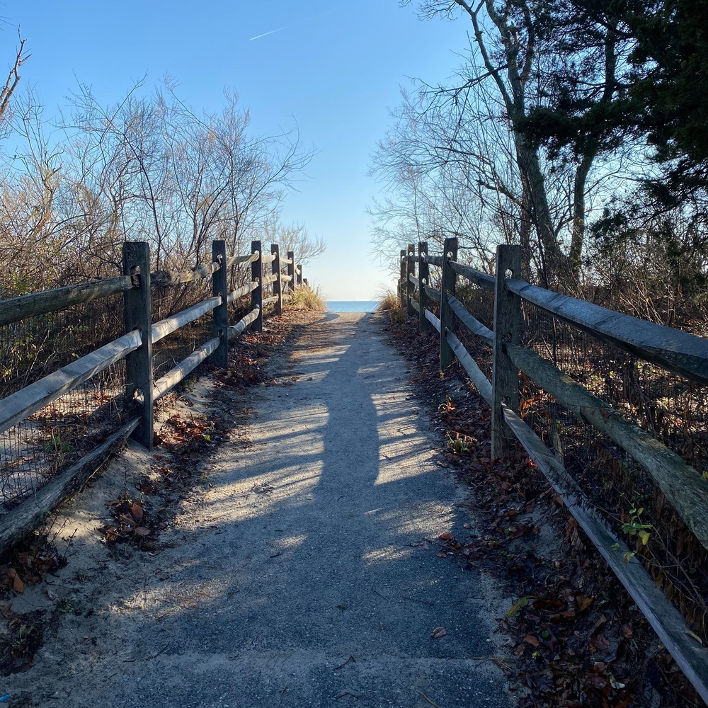 Meet your Posher, Michele